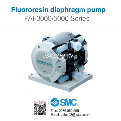 Process Pump Bơm Màng Bơm Hóa Chất